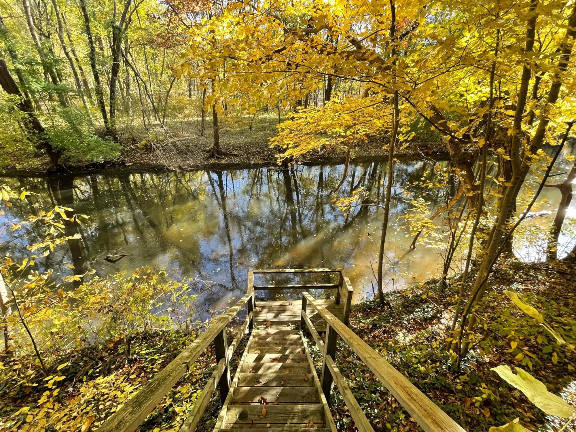 Goldberry Woods- A Modern Farm Resort Union Pier Exteriér fotografie